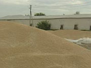 Украина экспортировала 12,5 млн. тонн зерна