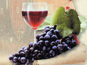 Одесская область стала лидером по сбору винограда в этом году
