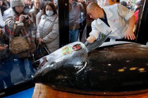 В Японии гигантский тунец ушел с молотка за 37 тысяч долларов