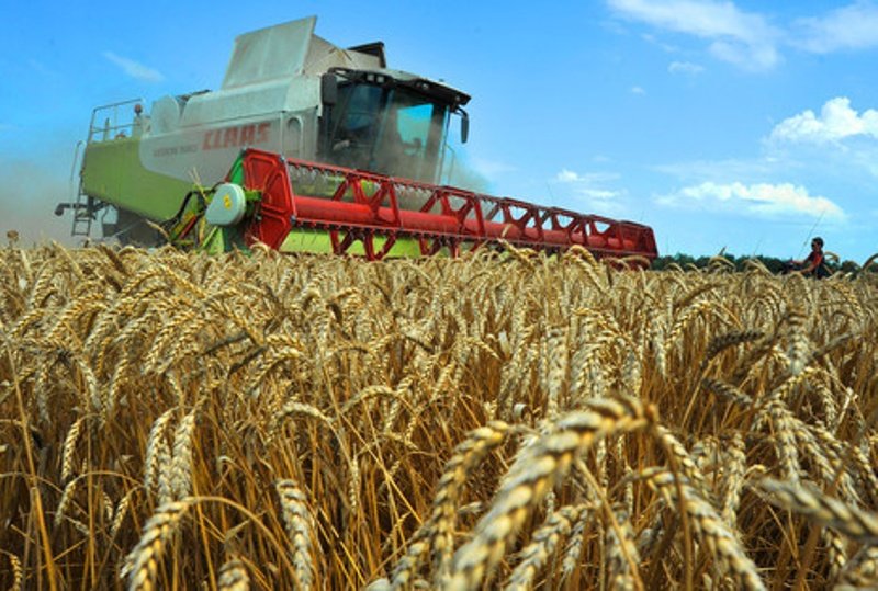 Третья часть валютной выручки в Украине заработана аграриями
