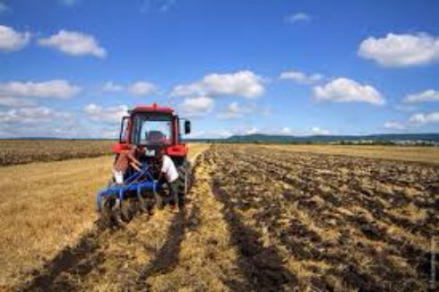 Названы самые богатые аграрии Украины