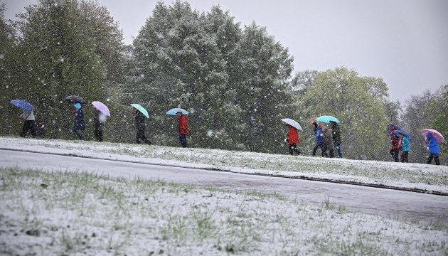 Москву в первый день лета засыпало снегом
