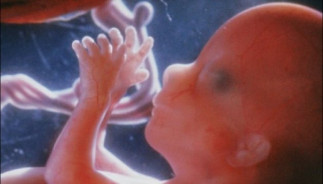 Дети узнают человеческие лица еще в утробе – ученые