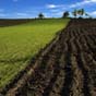 Агрохолдинги сконцентрировали треть сельхозземель в Украине