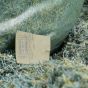 В одном из лесопарков Днепра нашли мешки с порезанными гривнами (фото)