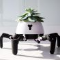 Создали робота, который помогает растениям получать нужное количество солнечного света