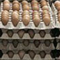 ОАЭ стали крупнейшим покупателем украинских яиц