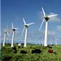 Австрийская компания будет строить ветроэлектростанции на Херсонщине