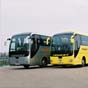 Назван самый загруженный автобусный маршрут из Украины в ЕС
