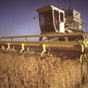 Украина сократила экспорт зерна впервые за пять лет