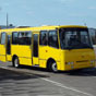 Во Львове планируют повысить стоимость проезда в ночных автобусах