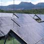 Голландский банк развития купил 40% проекта солнечной электростанции в Чигирине