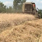 Украина планирует экспортировать 54 миллиона тонн зерна