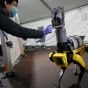 Исследователи MIT придумали, как робопёс Dr. Spot может помочь в диагностике COVID-19