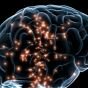 Искусственный интеллект против паралича: ученые испытали новый мозговой имплант