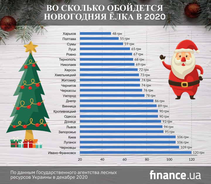 Сколько будут стоить елки, и когда их начнут продавать (инфографика)