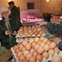 Производство яиц в Украине уменьшилось на 16,3% — Госстат