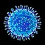 При нынешних темпах человечество вакцинируется от Covid-19 за 7 лет — Bloomberg