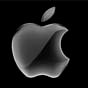 Apple приобрела права на показ фильма «CODA» за $25 млн