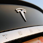 Tesla заняла почти 25 % рынка электромобилей